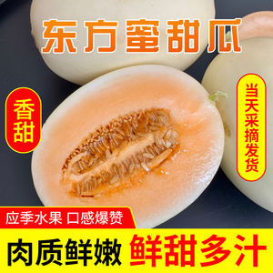现摘东方蜜瓜甜瓜脆瓜应季当季时令水果5斤23.8元【顺丰包邮】