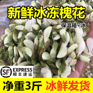 23新鲜槐花冰冻洋槐花槐米花骨朵3斤当季槐花冰冻野菜顺丰包邮