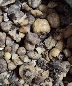 中药材山茨菇 泥冰子 山慈菇 毛慈姑 云南省干货500克件