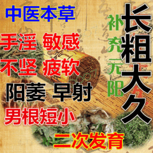 男性增大增粗硬增长延长硬粗长阴茎持久短小人变粗长延时中药永久