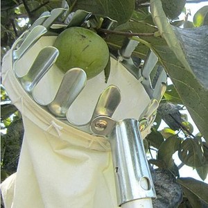 摘果神器摘柿子冬枣核桃杏采果器采摘工具摘果杆高空伸缩剪无花果