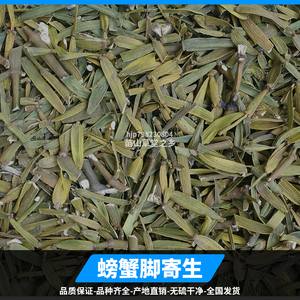 枫香螃蟹脚寄生枫树寄生香枫树寄生中药材枫寄生茶树食用500g包邮