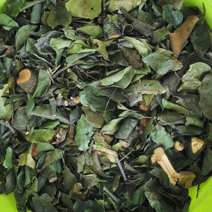 玉桂树寄生野生肉桂寄生桂树寄生桂木树寄生中草药寄生茶500g包邮