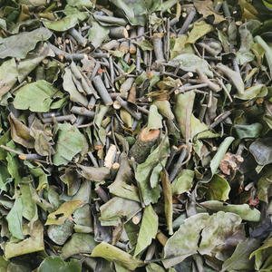 酸杨桃树寄生野生五敛子树寄生杨桃树寄生洋桃树寄生干品500g包邮