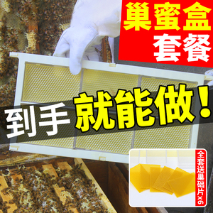 巢蜜盒蜂巢蜜框架塑料巢蜜格中蜂意蜂一斤蜜蜂巢蜜框500g巢框巢础