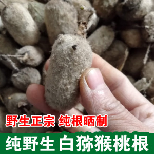 纯根新晒纯野生白猕猴桃根毛花藤梨根毛冬瓜白藤梨根1000g包邮