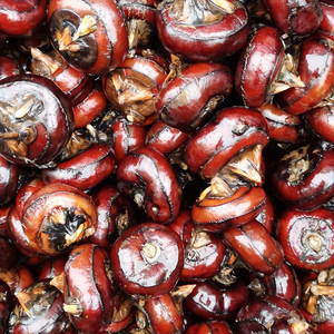 安徽无为蒲岐果子马蹄荸荠500克即食