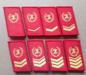 清仓包邮专职消防领章肩章领花现货