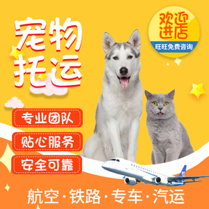 宠物托运服务全国猫咪狗狗空运检疫证北京检疫证明手续国际邮寄