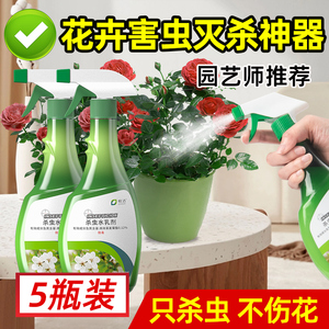 杀虫药花卉植物杀虫剂室内通用蚜虫月季花病虫害土壤花草除虫专用