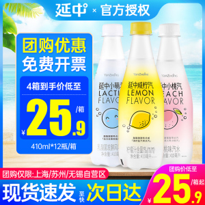 延中咸柠汽 410ml*12瓶整箱包邮上海电解质柠檬口味碳酸饮料汽水