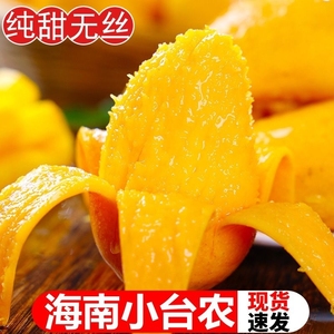 新鲜海南台农10斤鸡蛋芒果当季水果核小大台芒3斤包邮大果果味