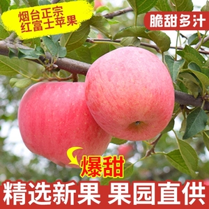 山东烟台红富士苹果5新鲜水果脆甜无负担珍藏小果