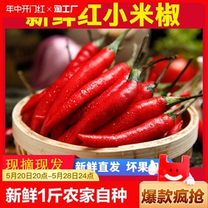 新鲜小米椒1斤3斤5斤小米辣红辣椒朝天椒指天椒农家自种小尖椒