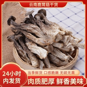鹿茸菇干货1斤云南特产山珍蘑菇菌菇脆脆菇煲汤食用菌一级山货