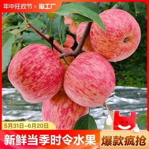 红富士苹果脆甜冰糖心整箱包邮正宗山东威海苹果新鲜当季时令水果