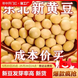 新豆东北黑龙江黄豆农家自产五谷杂粮打豆浆豆芽黄豆新