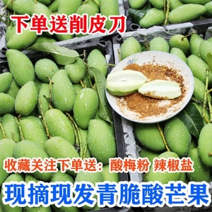 广西青芒果特产生吃酸野新鲜酸脆孕妇水果象牙芒果1-5斤制酸嘢