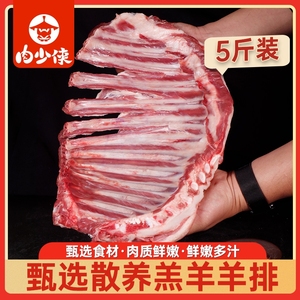 羊排新鲜羊肉5斤乳羔羊排手抓烧烤手把生鲜年货礼盒草原少侠