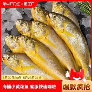 小黄花鱼新鲜冷冻5斤烧烤小黄鱼生鲜活海鱼海鲜整箱商用水产冰鲜
