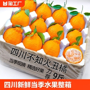 四川不知火丑橘新鲜当季水果整箱包邮耙耙橘子丑柑丑八怪桔子沃柑