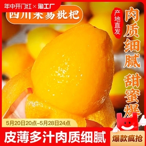 【现货】四川米易甜枇杷高山枇杷果大五星生鲜新鲜水果健康轻食
