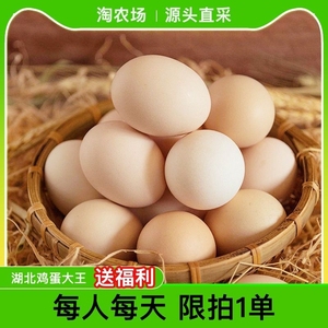 【9.9抢20枚】湖北省鸡蛋大王 农家散养新鲜鸡蛋