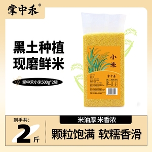 东北黑龙江农家一级油糯黄小米杂粮米2023年新米黄米袋装真空