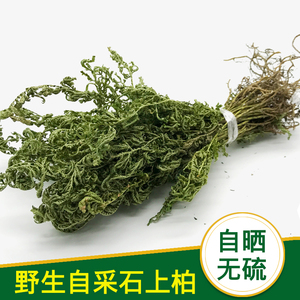 野生新鲜石上柏地侧柏金龙草梭罗草中草药地梭罗深绿卷柏500克包