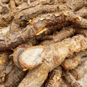 福建野生南蛇藤根中药材过山龙过山枫大南蛇穿山龙纯根500克包邮