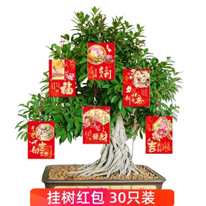 挂绳挂树装饰小红包新年盆景布置挂件发财树带红绳春节植物利是封