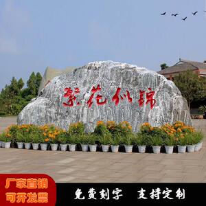雪浪石泰山刻字石景观石天然大型村口学校校园广场村口景石题标题