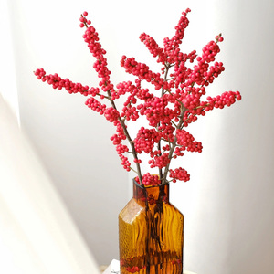 北美冬青红果鲜花鲜切枝条果枝进口鲜切枝过年年宵花礼物盆栽树苗