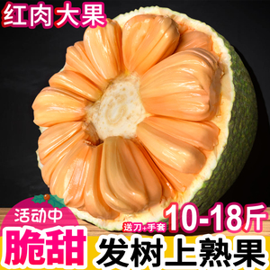 越南红肉菠萝蜜红心热带新鲜水果当季一整个大果包邮干苞木波罗蜜