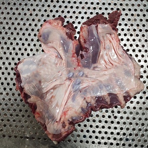 新鲜冷冻猪连肝肉 护心肉 罗根肉隔膜肉20斤烧烤卤菜江浙皖沪包邮