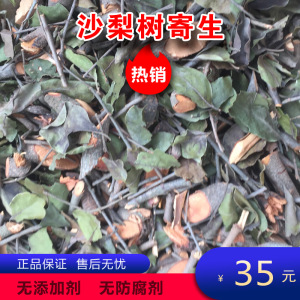 野生沙梨树寄生沙梨木寄生沙梨寄生梨寄生桑寄生茶中草药包邮