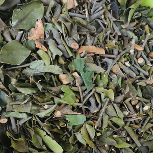 野生酸杨桃树寄生杨桃树寄生五敛子寄生桑寄生干品500g包邮