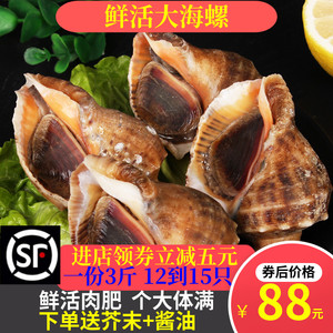 海螺鲜活新鲜海鲜水产特大生鲜贝类顺丰包邮3斤装包活带黄水产