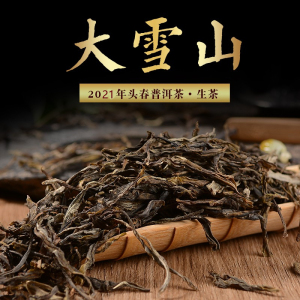 大雪山古树普洱茶散装生茶大叶种丨明前茶春茶丨回味甘甜无添加