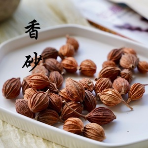 香砂仁50g川砂仁调料川菜调料炖肉卤菜香料