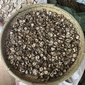 八月扎1克云南八月扎预知子八月炸泡茶札打磨粉八月瓜中药材