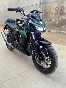 新款国四f1电喷川崎大蟒蛇250cc地平线男士重型机车小忍者摩托车