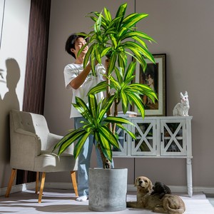 大型仿真绿植物巴西木高端轻奢仿生假树装饰室内客厅摆件落地盆栽