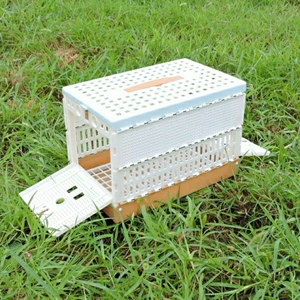 王晓燕0607淘宝鸽具/放飞笼/训放笼/报道笼/信鸽塑料笼/鸽子笼/信鸽