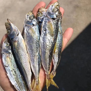 巴浪鱼干福建特产新鲜野生波浪鱼干淡晒海鱼干海鲜干货产品即食