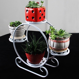 多肉架子室内小型铁艺小花架多层窗台整装桌面办公桌小摆件绿植置