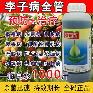 李子树病全治穿孔病流胶病褐腐病灰霉病烟煤病特效农药正品杀菌剂