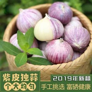 080人付款淘宝2019干蒜头新鲜干蒜富硒独子 云南红蒜