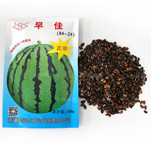 早佳8424西瓜种籽正宗新疆天山84-24种子孑南方北方麒麟西瓜苗秧