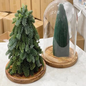 液太深淘宝天然真松枝鲜松树枝松针圣诞树枝装饰花环壁挂手工diy带